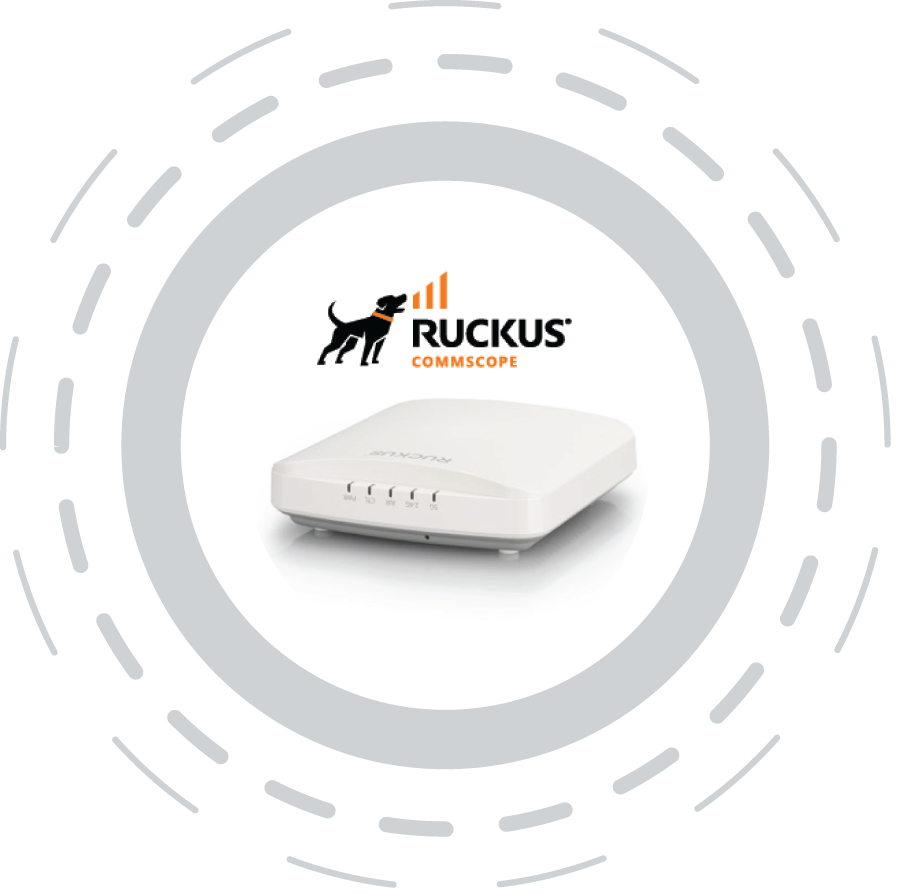 Ruckus Product Graphic